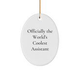 Funny Assistant Gifts, 'Officially The World's Coolest Assistant' Oval Ornament, Christmas Unique Gifts from Friends to Coworkers - Image 1